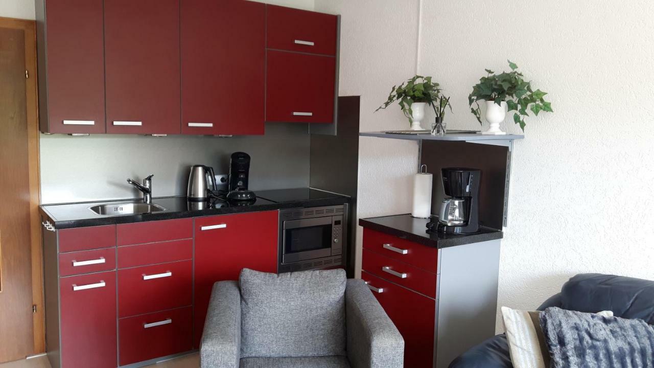 Gemuetlicher Ferienwohnung In Niedersfeld Bei Winterberg, Kostenloses Wlan Exteriér fotografie
